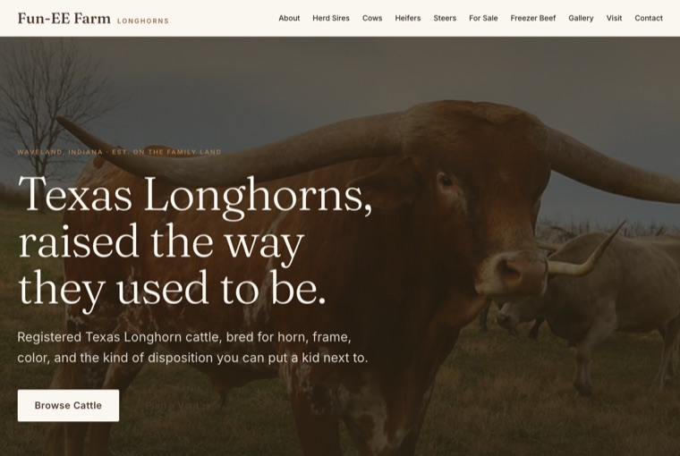 Fun-EE Farm Longhorns website, another Anomalist studio project